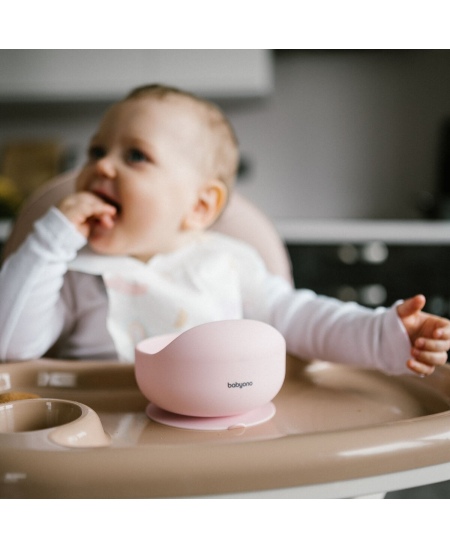 Babyono lėkštutė silikoninė neslystanti rožine 1481/02