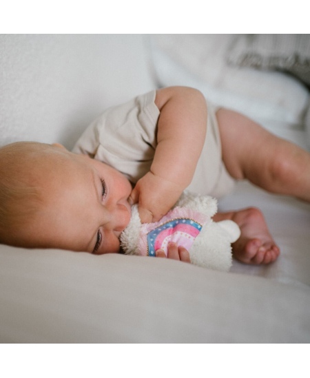 Babyono žaislas minkštas plokščias rožinis llama 1557/01