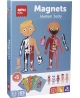 Magnetinis žaidimas APLI Kids „Žmogaus kūnas”