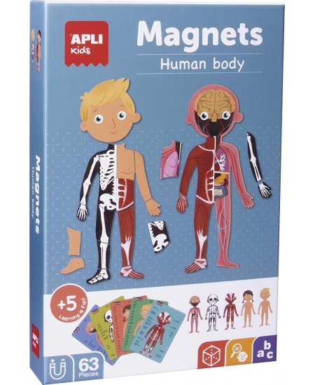 Magnetinis žaidimas APLI Kids „Žmogaus kūnas”