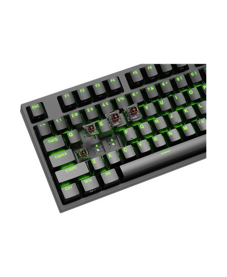 Genesis | Mechanical Gaming Keyboard | THOR 404 TKL RGB | Black | Mechanical Gaming Keyboard | Wired | US | USB Type-A | 1005 g 