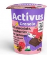 Traškūs dribsniai ACTIVUS su šokoladu, braškėmis ir bananais, indelyje, 60g