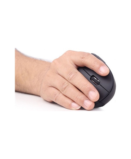 Gembird | MUSW-ERGO-01 | 2.4GHz Wireless Optical Mouse | Optical Mouse | USB | Black