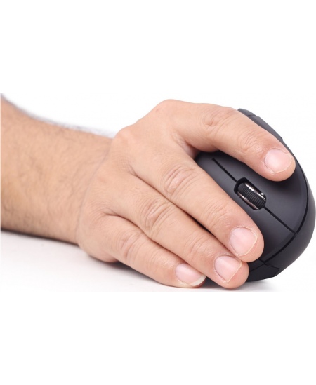Gembird | MUSW-ERGO-01 | 2.4GHz Wireless Optical Mouse | Optical Mouse | USB | Black