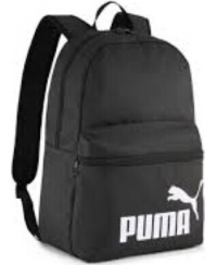 Kuprinė Phase Backpack