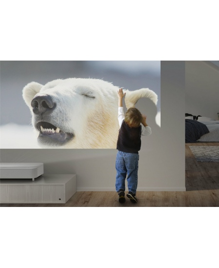 Epson | EH-LS800W | 4K PRO-UHD 3840 x 2160 (2 x 1920 x 1080) | 4000 ANSI lumens | White | Lamp warranty 12 month(s)