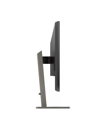 Philips P Line 439P1/00 43 ", VA, 4K UHD, 3840 x 2160, 16:9, 4  ms, 400 cd/m², Headphone output, 60 Hz, HDMI ports quantit
