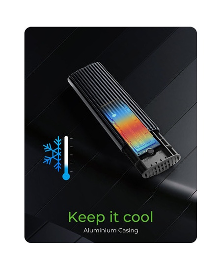Raidsonic | M.2 NVMe and SATA SSD Enclosure via USB Type-C | IB-1808MCT-CU31