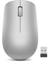 Lenovo | Wireless Mouse | 530 | Optical Mouse | 2.4 GHz Wireless via Nano USB | Platinum Grey | 1 year(s)