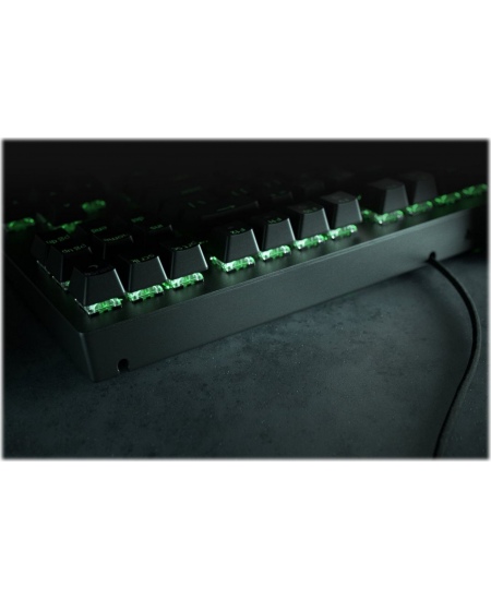 Razer BlackWidow V3, Gaming keyboard, RGB LED light, US, Black, Wired