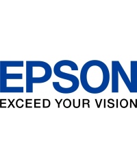 Epson T13L2 XL (C13T13L240) Rašalinė kasetė, Žydra