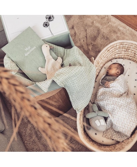 Ahojbaby kūdikio lopšys be čiužinuko