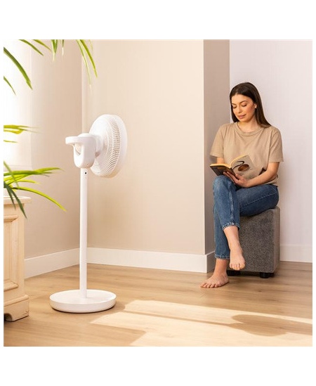 Cecotec EnergySilence 2600 Sunflower Portable | Stand Fan | Diameter 33 cm | Number of speeds 12 | Oscillation | 22 W | Remote c
