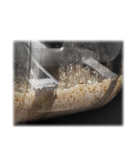 Philips Pasta Maker | HR2665/96 | 200 W | Number of speeds 1 | Bowl capacity 0.8 L | Black