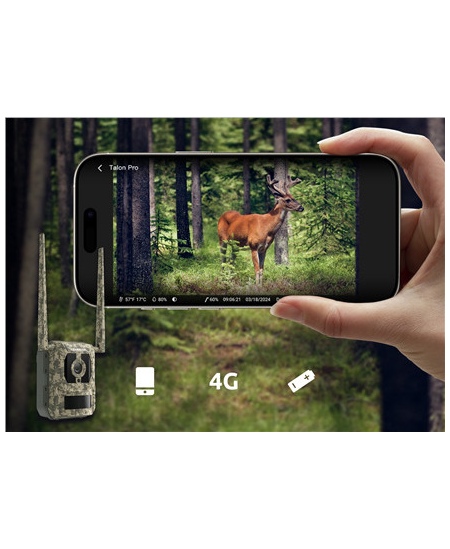 Reolink Camovue Talon S130 4G LTE Trail Camera | Reolink