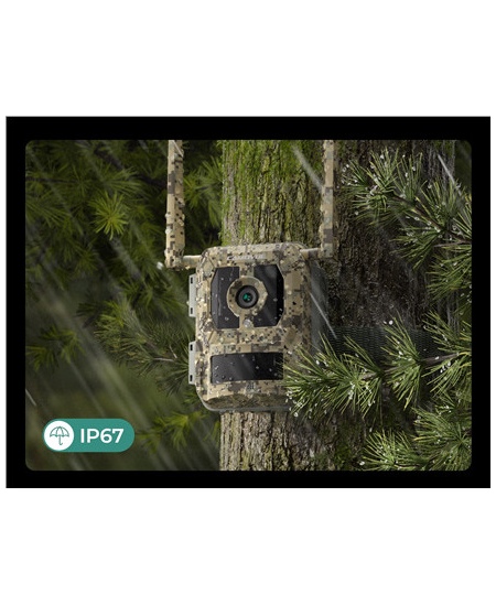 Reolink Camovue Talon S130 4G LTE Trail Camera | Reolink
