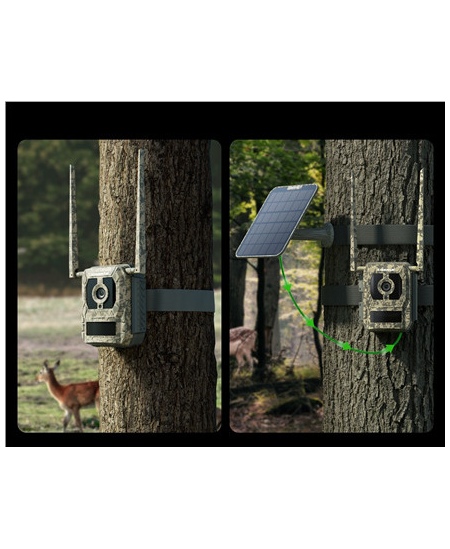 Reolink Camovue Talon S130 4G LTE Trail Camera | Reolink