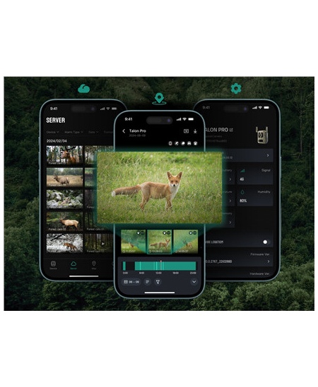 Reolink Camovue Talon S130 4G LTE Trail Camera | Reolink