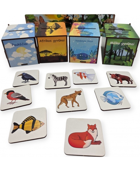 Rūšiavimo žaidimas PuzzleOK Montessori „Magical Nature“