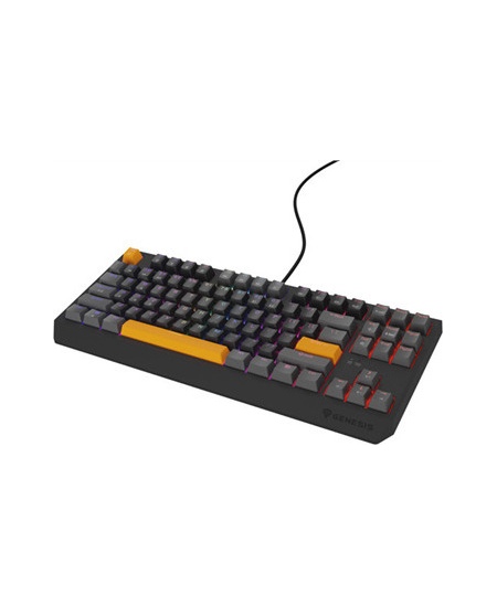 Genesis THOR 230 | Mechanical Gaming Keyboard | Wired | US | Anchor Gray Positive | USB Type-A | Outemu Red
