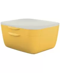 Daiktadėžė LEITZ COSY, su stalčiais, geltona