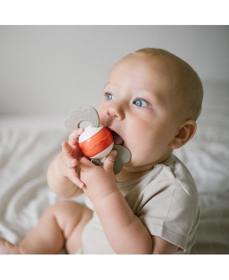 Barškutis BABYONO, su kramtuku, saldainis, 1587