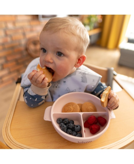 Babyono lėkštutė silikoninė neslystanti su dangteliu ir skyriais rožinė 1661/02