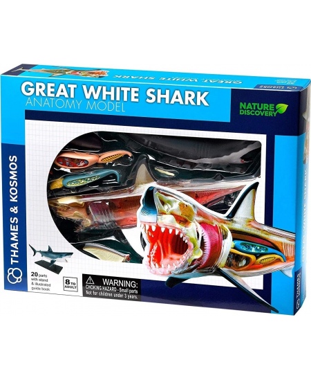 Rinkinys Thames&Kosmos Didžiojo baltojo ryklio anatomijos modelis