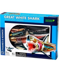 Rinkinys Thames&Kosmos Didžiojo baltojo ryklio anatomijos modelis