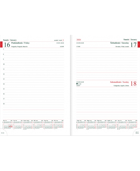 Kalendorius MANAGER Day 2026, A5, PU