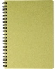 Kalendorius - užrašinė TIMER, su spirale, A5, be datų, 224 lapai, langeliais, kartoniniu viršeliu, šviesiai žalia sp.