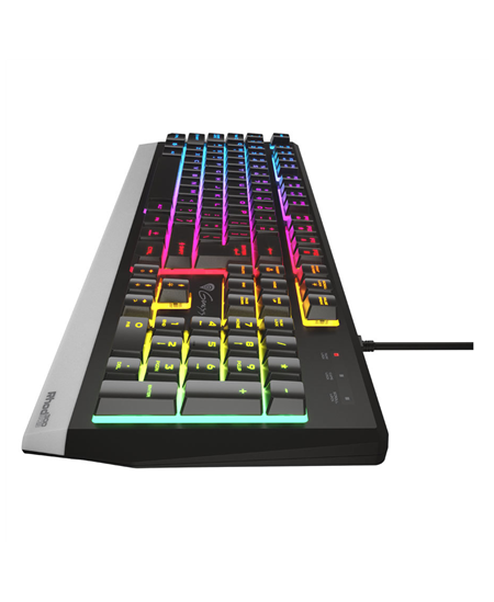 Genesis Rhod 300 RGB Gaming keyboard, RGB LED light, US, Black, Wired