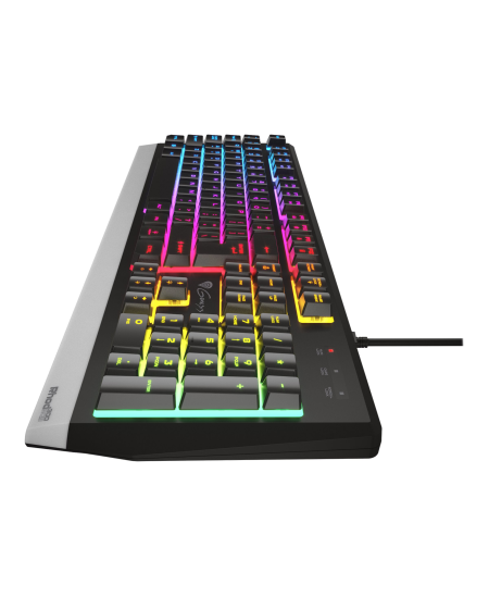 Genesis Rhod 300 RGB Gaming keyboard, RGB LED light, US, Black, Wired