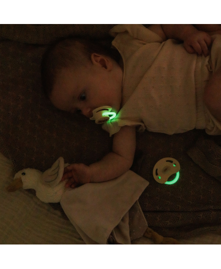 Čiulptukas BABYONO, silikoninis, simetrinis, 0-6m, 1669/01