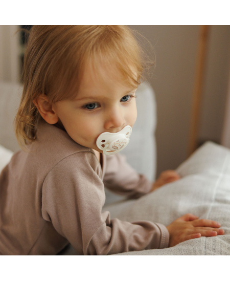 Čiulptukas BABYONO, silikoninis, anatominis, 18m+, 1670/03