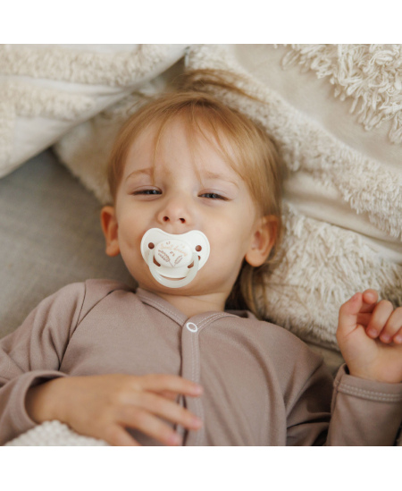 Čiulptukas BABYONO, silikoninis, anatominis, 18m+, 1670/03