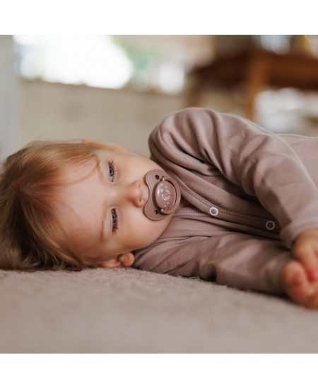 Čiulptukas BABYONO, silikoninis, anatominis, 18m+, 1670/03
