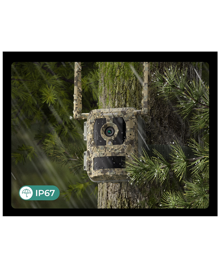 Reolink | 4K 4G Cellular Trail Camera with Live Streaming | Talon Series S130 | Trail | 8 MP | 4mm/F1.6 | IP67 | H.265 | MicroSD