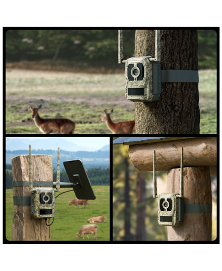 Reolink | 4K 4G Cellular Trail Camera with Live Streaming | Talon Series S130 | Trail | 8 MP | 4mm/F1.6 | IP67 | H.265 | MicroSD