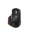 Acer Easy Fit wireless Mouse |2.4GHz and BT5.0 | Black | Acer