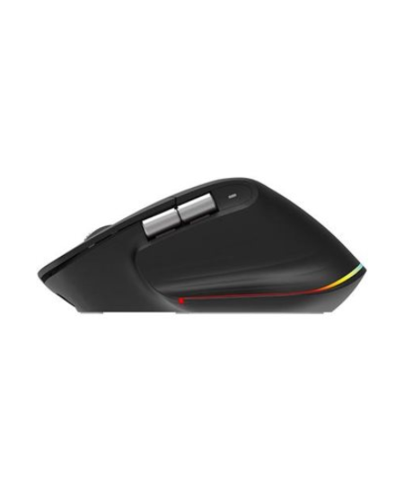 Acer Easy Fit wireless Mouse |2.4GHz and BT5.0 | Black | Acer