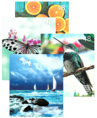 Sąsiuvinis linijomis laminuotu viršeliu, A5, 70 gsm, 48 lapai