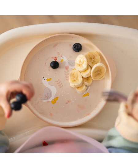 Lėkštė dubenėlis-puodukas BABYONO, 1565