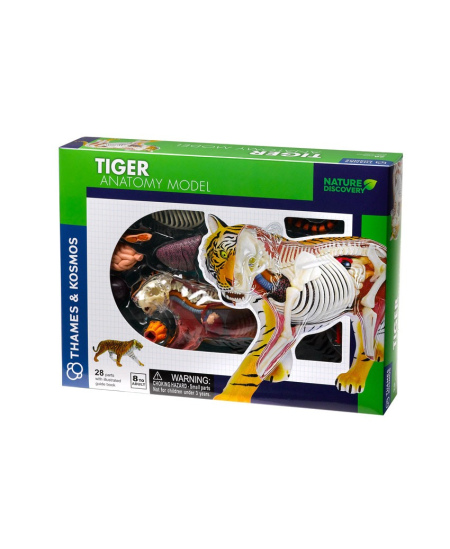 Anatomijos modelis Thames&Kosmos „TIger“