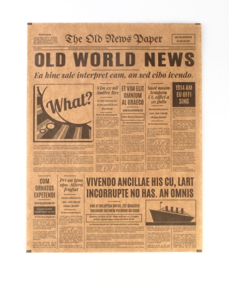 Popieriaus lakštai maistui „OLDNEWS“, 27 x 35 cm, PE, 200 vnt.