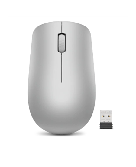 Lenovo | Wireless Mouse | 530 | Optical Mouse | 2.4 GHz Wireless via Nano USB | Platinum Grey | 1 year(s)