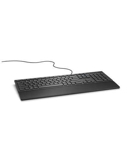 Dell KB216 | Multimedia | Wired | US/LT | Black | Numeric keypad