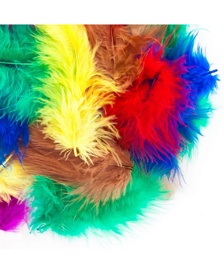 Dekoratyvinės plunksnos, 5–12 cm, 5 g, basic