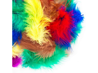 Plunksnos 5-12cm, 5g, basic