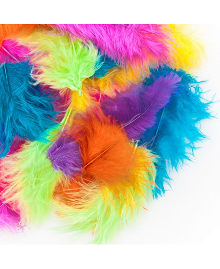 Dekoratyvinės plunksnos, 5–12 cm, 5 g, exotic